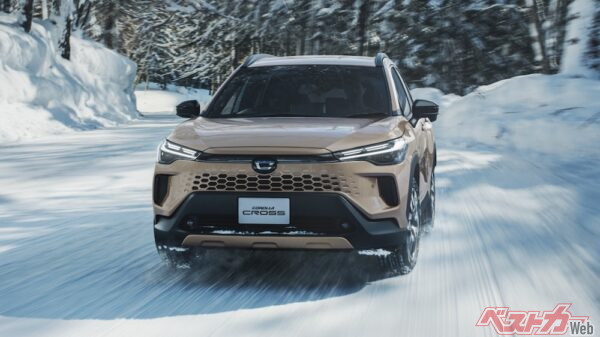 これがマッドバス!!　ベースグレードでも選べるって嬉しすぎる