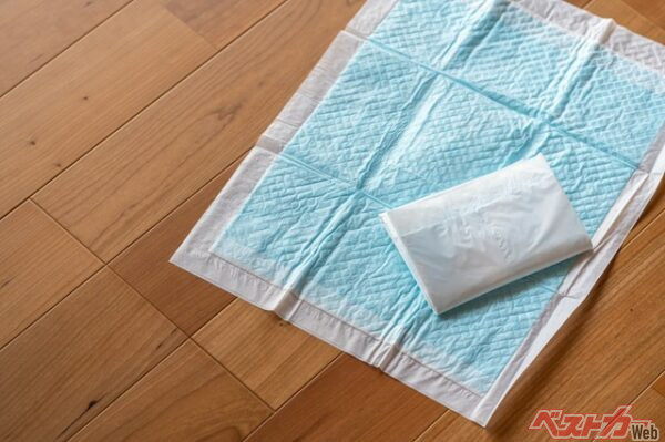 ペット用も緊急時には非常に役立つだろう。さらにタオルやごみ袋を補助で使うと良い（maikopowerpad@Adobe Stock）