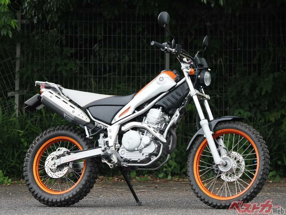 TR-000.jpg?v=1749877844