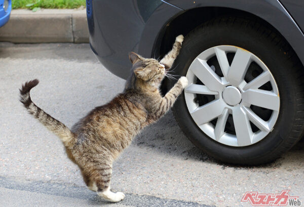 後方にできる死角には特に注意が必要(Станислав Вершинин@AdobeStock)