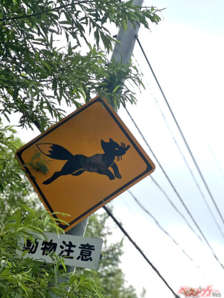 道路には安全注意の標識も