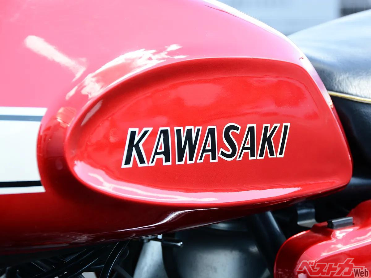 マサゾウ 万歩計®・歩数計】ポケット万歩®_EX-500*ポケット・バッグイン