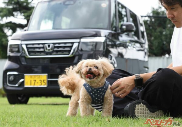 これはマジで快適!!　ドッグファーストすぎよ!!　ホンダ純正犬グッズが目から鱗すぎた