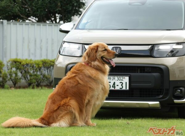 おかかくんも快適そうなお顔!! 大型犬だって寝そべることも可能なのだ