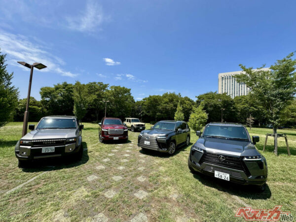 雄大な山々を眺めているようだ