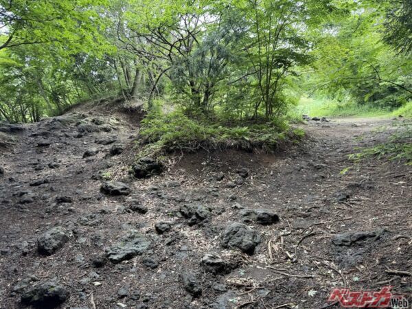 スタックランドは地形を活かしたコース。オフロード経験者も「お腹いっぱい」になるはずだ