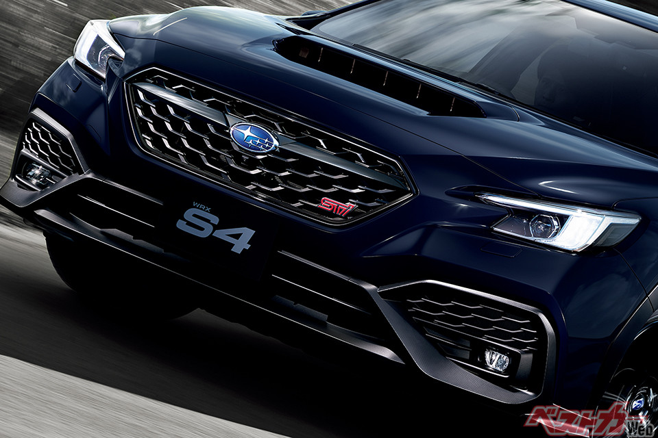 メバル246 さま 専用ページ 積水樹脂・メッシュフェンスG20門扉 販売中!｜ - 珪藻土 漆喰 壁