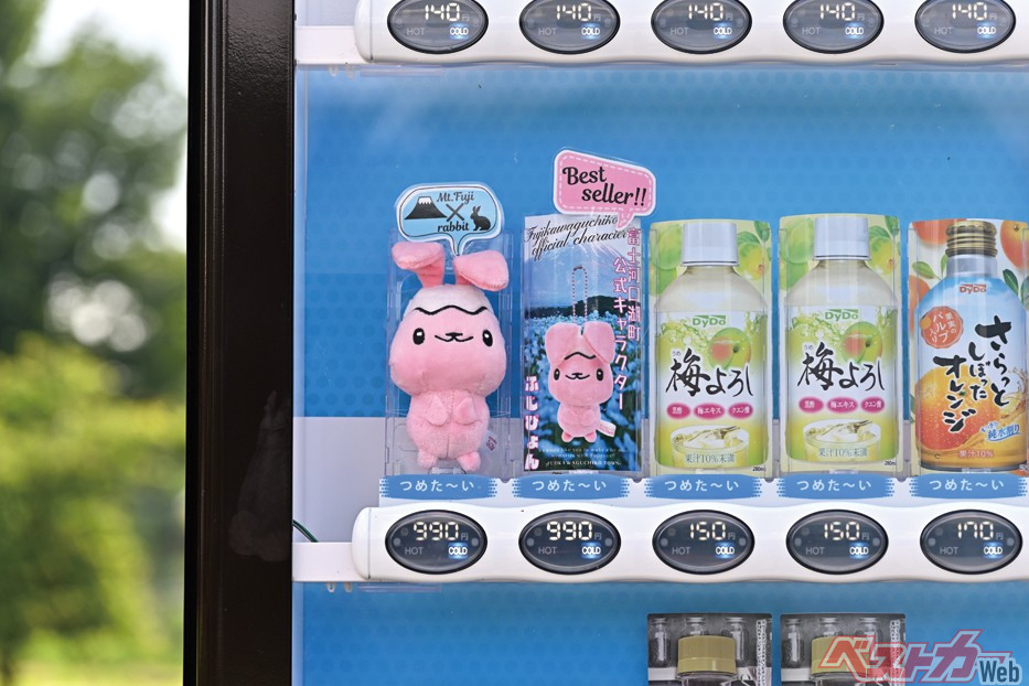 これはかわいすぎ!! 河口湖のアイドルふじぴょんが自販機で買える奇跡 みんなも探しにいってみよう!(山梨県富士川口湖町)