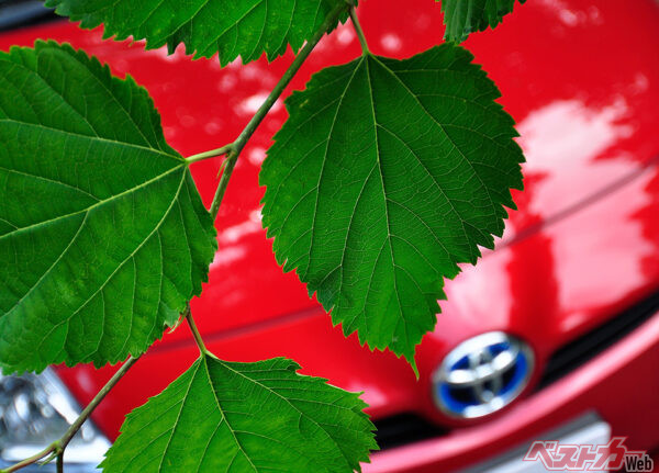 木陰の駐車は樹液や鳥のフンなどが落ち、ボディに付着する場合もあるので注意