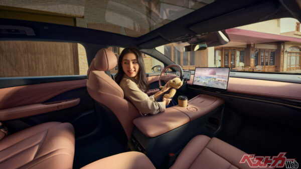 特別内装カラーの「ローズモカ」。ピンクが印象的かもしれないが、特別感が高級さを演出してくれる