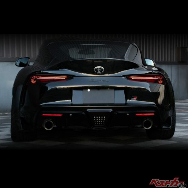 実際に装着した全体像。装着例や色や光り方をSNSなどで確認できる