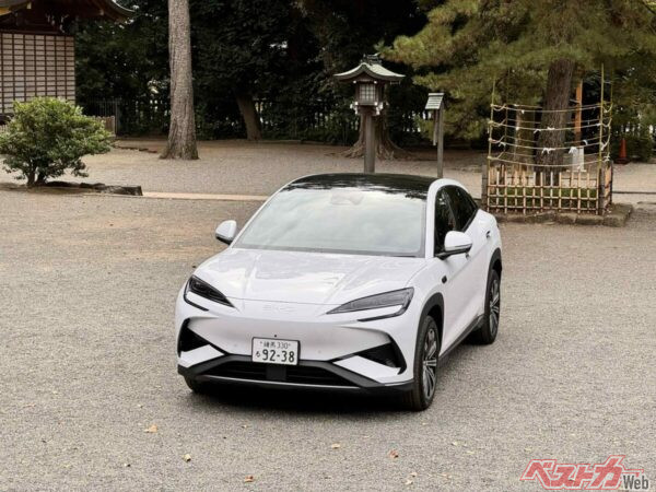 購入の理由はなんと好奇心と冒険心!? 本気でレビューするためにも人柱となる覚悟で購入