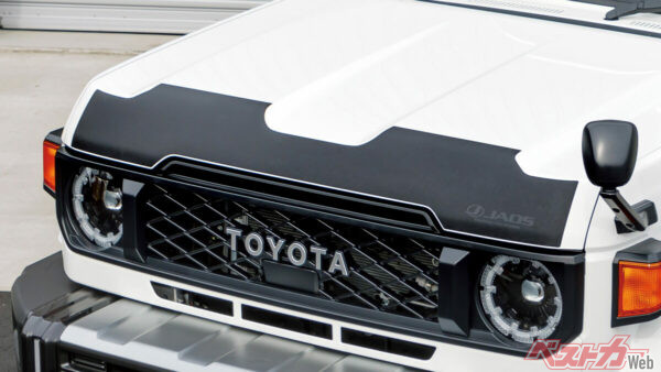 車種専用形状だからバッチリガード! バチビタでキマる!