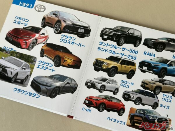 厚紙になっているので子どもに渡しても良好な状態を保てる