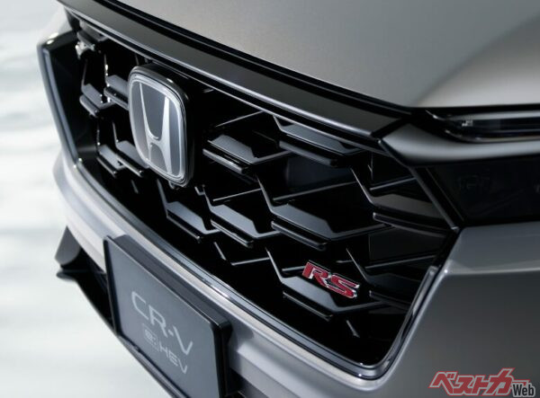 ブラックアウトされたRSブラックエディションの専用フロントグリル