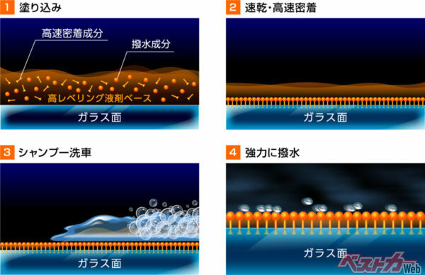 塗り込みと同時に高速密着成分(QA)と速乾処方(QD)の効果で、強力な撥水成分がガラス面へすぐに強密着。シャンプー洗車にも耐え、余剰成分だけが洗車で洗い流されるため、すすいだ直後から強力な撥水性能を発揮する