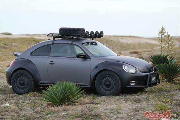 ルゥディクスの「NB-2 Neo Bug Style」