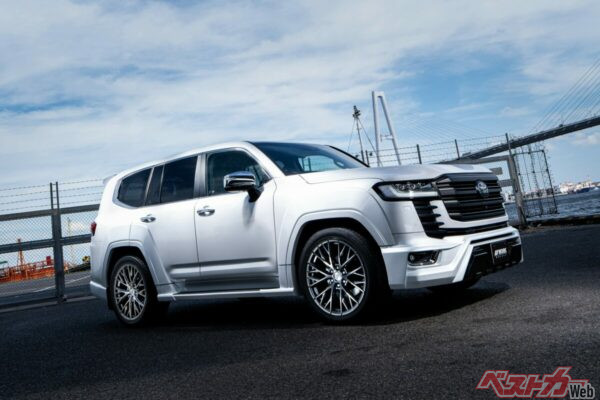 無骨さだけではなく優雅さを演出してくれるデザインだ