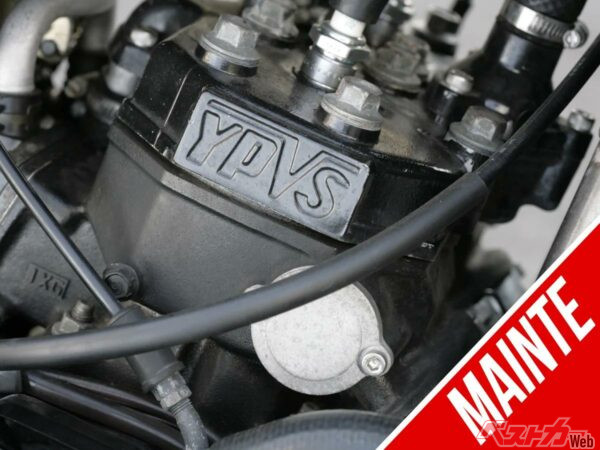 RZ250Rのエンジンを降ろしたついでに「シリンダー×ピストン」を点検