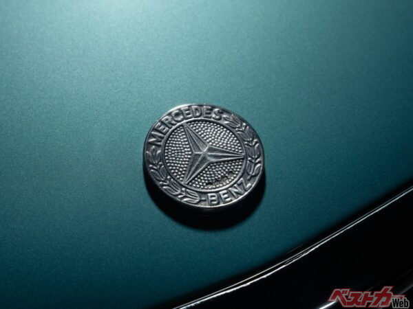 唯一のカスタマイズがこのエンブレム。オーナー自ら作ったものに換装されている。