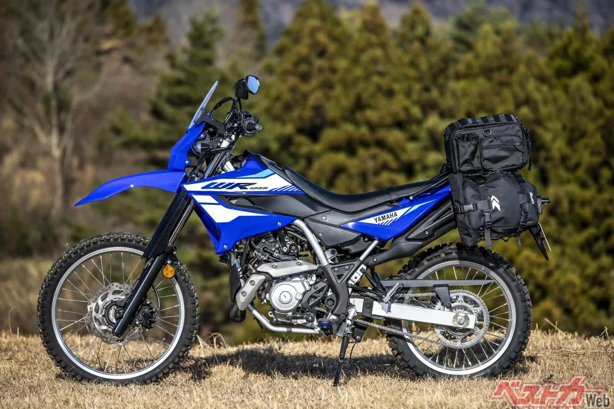 ワイズギアカスタム車両