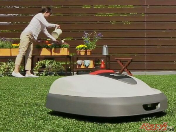 日本と異なり一般家庭に広い芝生を持つ家が多いため、かなりのニーズが予想されるミーム。