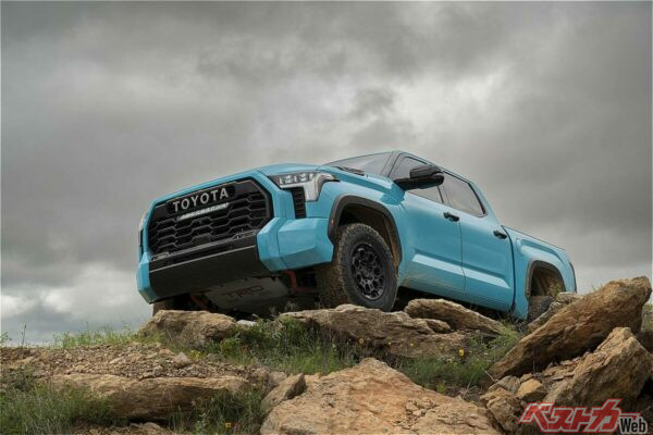 この雄姿が日本で見られるのは朗報