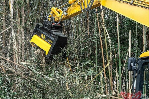 竹を切るというより上からバリバリとかみ砕いていく感じ