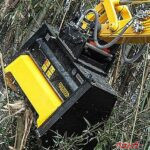 放置竹林に強力兵器登場!! ふざけた名前だけど仕事はすごい!!　タケカルゴンが日本を救う!!