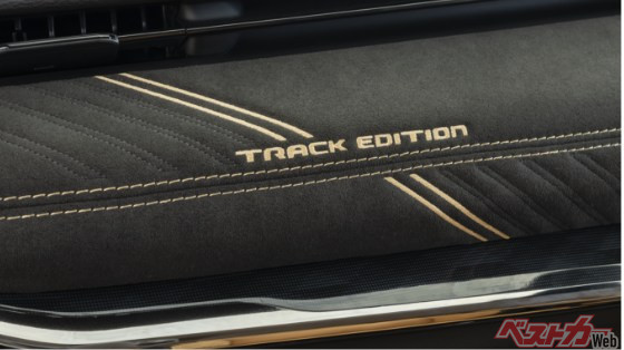 スエード調のインストルメントボルスター