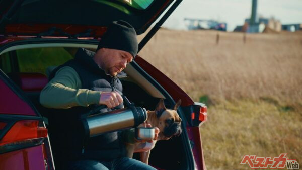 ペットも家族の一員。一緒にクルマで移動したいという方も多いはず（borovikk@Adode Stock）