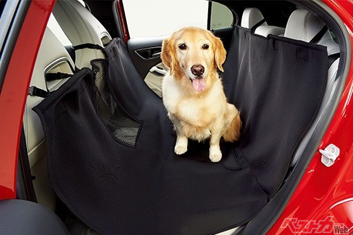 ペットやお子さまとおでかけするならカバーやマットを使うべし！　汚れや痕を放置すると査定に響く!?