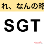 【今さら聞けない!?】これ、なんの略？ 自動車界の略語クイズ「SGT」