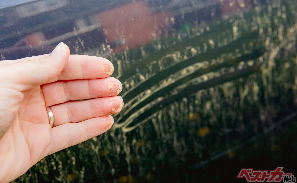Pollen and Kosa Season is Here! Avoid Damaging Your Car's Paint During Washing