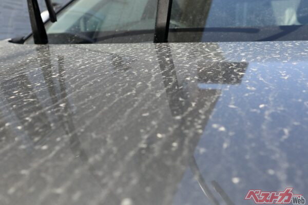 春先に多いこの汚れ。花粉や黄砂は、見た目以上に厄介な存在だ（PHOTO：Adobe Stock_KATSU）