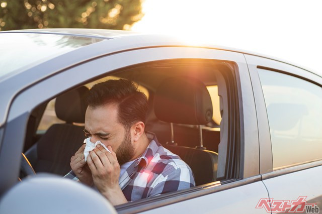 Pollen Alert! Last-Minute Car Cabin Prep for Cedar Pollen Season in Japan