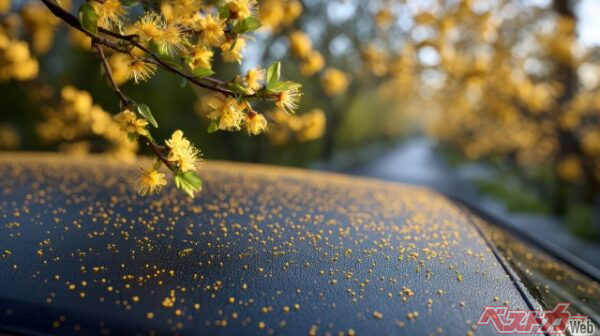 お湯って効果あるの!?　クルマの花粉シミ対策と正しい洗車法