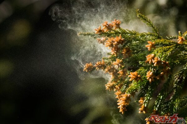 着ていた上着を助手席に放り、マスクを外し、エアコンを全開にする。これでは車内に花粉をまき散らしているだけである(miko@Adobestock)