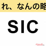 【今さら聞けない!?】これ、なんの略？ 自動車界の略語クイズ「SIC」