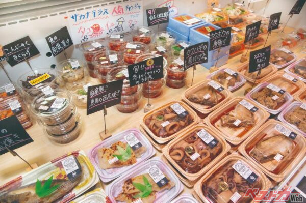 サカナテラス／〒624-0913 舞鶴市上安久140-3／<code>0773-68-9771</code>／10:00-19:00／定休日火曜日、水曜日