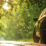 くしゃみ一回事故のもと!!　車内に花粉を入れない＆残さない実践テク2選