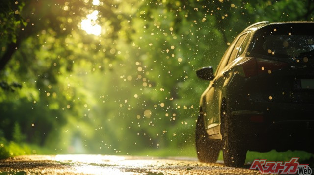Sneezing Can Cause Accidents! Two Practical Techniques to Prevent Pollen from Entering and Lingering in Your Car