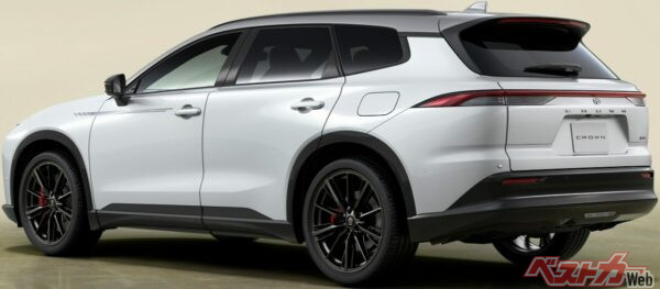 専用バイトーンによってロングルーフの水平基調が強調され、ワゴンボディならではの伸びやかなプロポーションがさらに強調されている