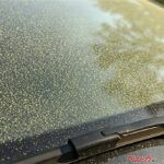 花粉にはワイパー付け根の水洗いが効く!! 鼻も目もスッキリさせる最強の洗車＆車内クリーン術!!!