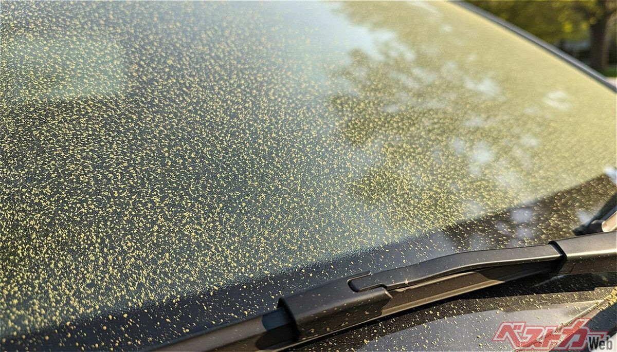 Beat Pollen Season: Deep Clean Your Car's Wiper Area & Interior!