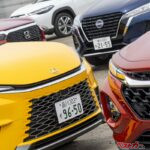 複数台オーナー注意!!　複数所有新規とミニフリートってこんなに意味違うんかい!!!