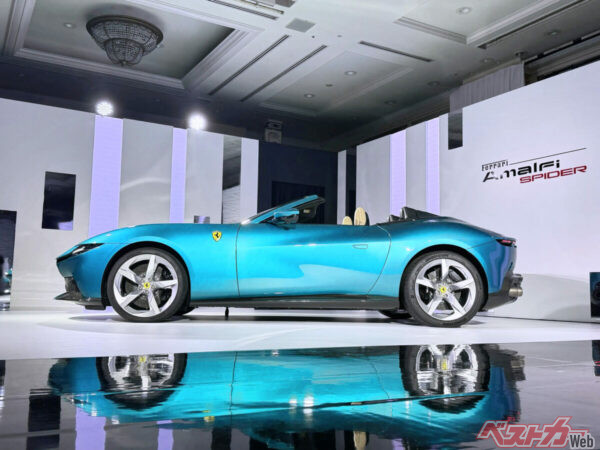 美しいグリーンを纏い見るものを惹きつけるアマルフィ・スパイダー