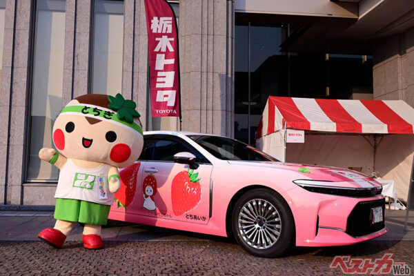 ボディには「とちまるくん」をはじめ、「いちごちゃん」や「いちごモンスター」などのキャラクターが描かれている