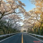 ドライブの季節!!　春が一番燃費がいいってマジ？ 気温とクルマの関係を徹底解説!!!