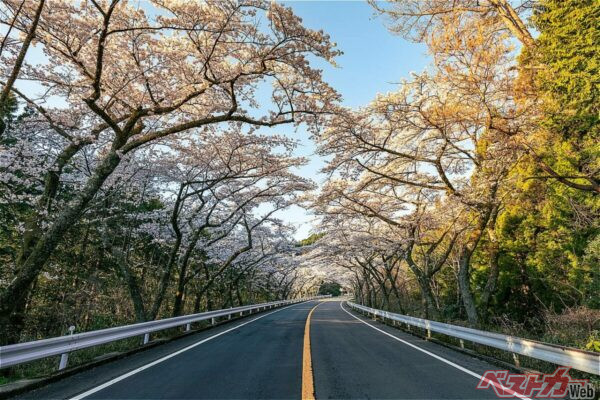 ドライブの季節!!　春が一番燃費がいいってマジ？ 気温とクルマの関係を徹底解説!!!